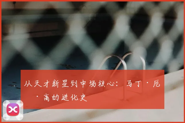 从天才新星到中场核心:马丁·厄德高的进化史