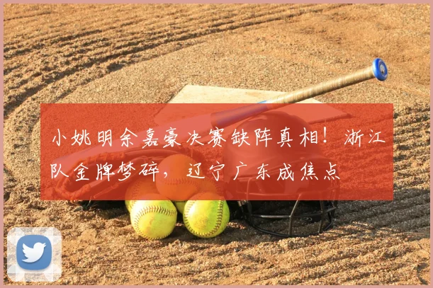 小姚明余嘉豪决赛缺阵真相！浙江队金牌梦碎，辽宁广东成焦点
