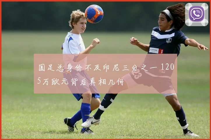 国足总身价不及印尼三分之一 1205万欧元背后真相几何